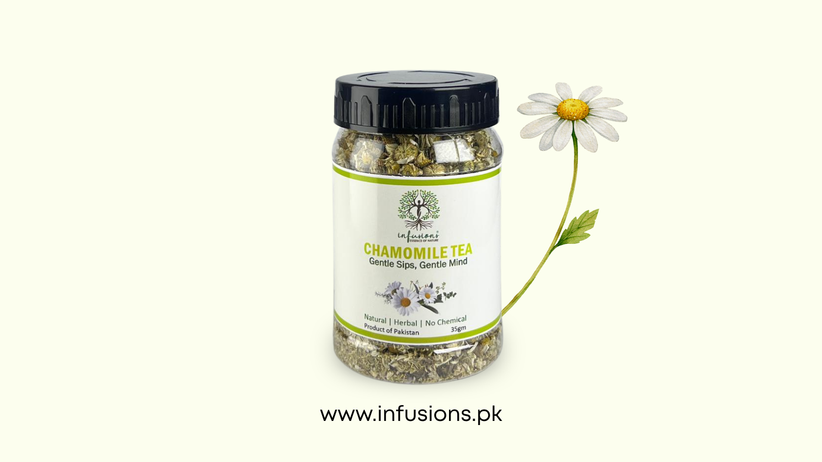 Chamomile Tea: A Natural Solution for Stress, Better Sleep & Overall Health