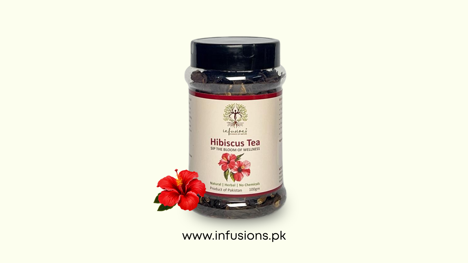 Hibiscus Tea – A Natural & Caffeine-Free Herbal Wellness Drink