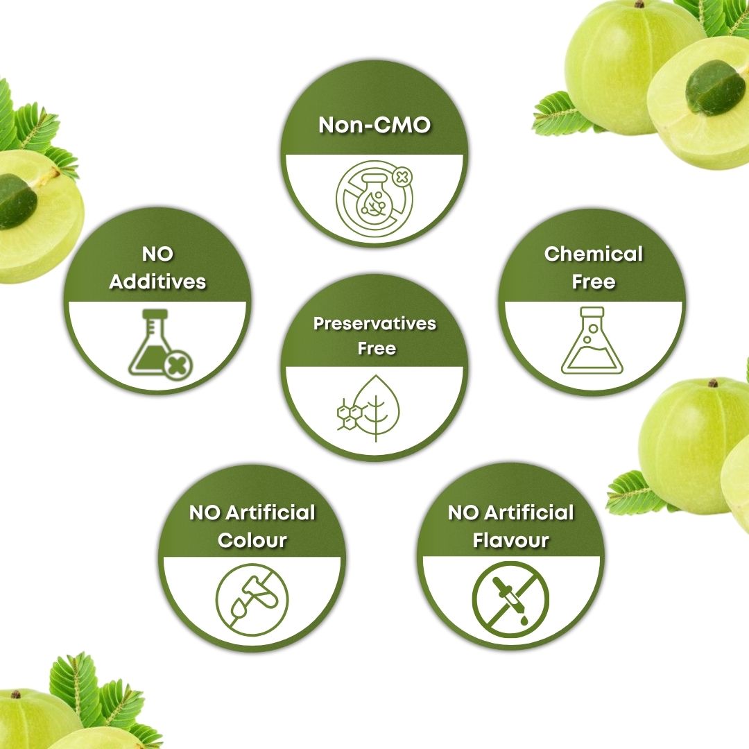 Amla Powder product image view 4