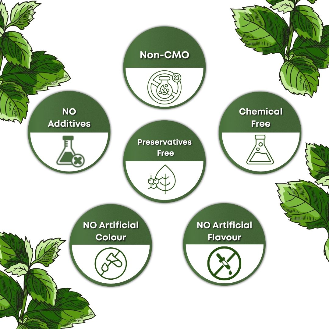 Wild Mint Tea (Safed Pudina) - Natural & Dried product image view 4